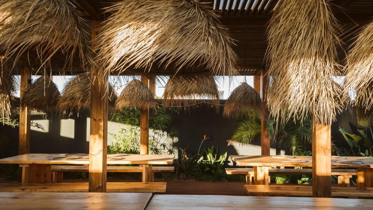 פניש The Salty Pelican Yoga & Surf Retreat מראה חיצוני תמונה