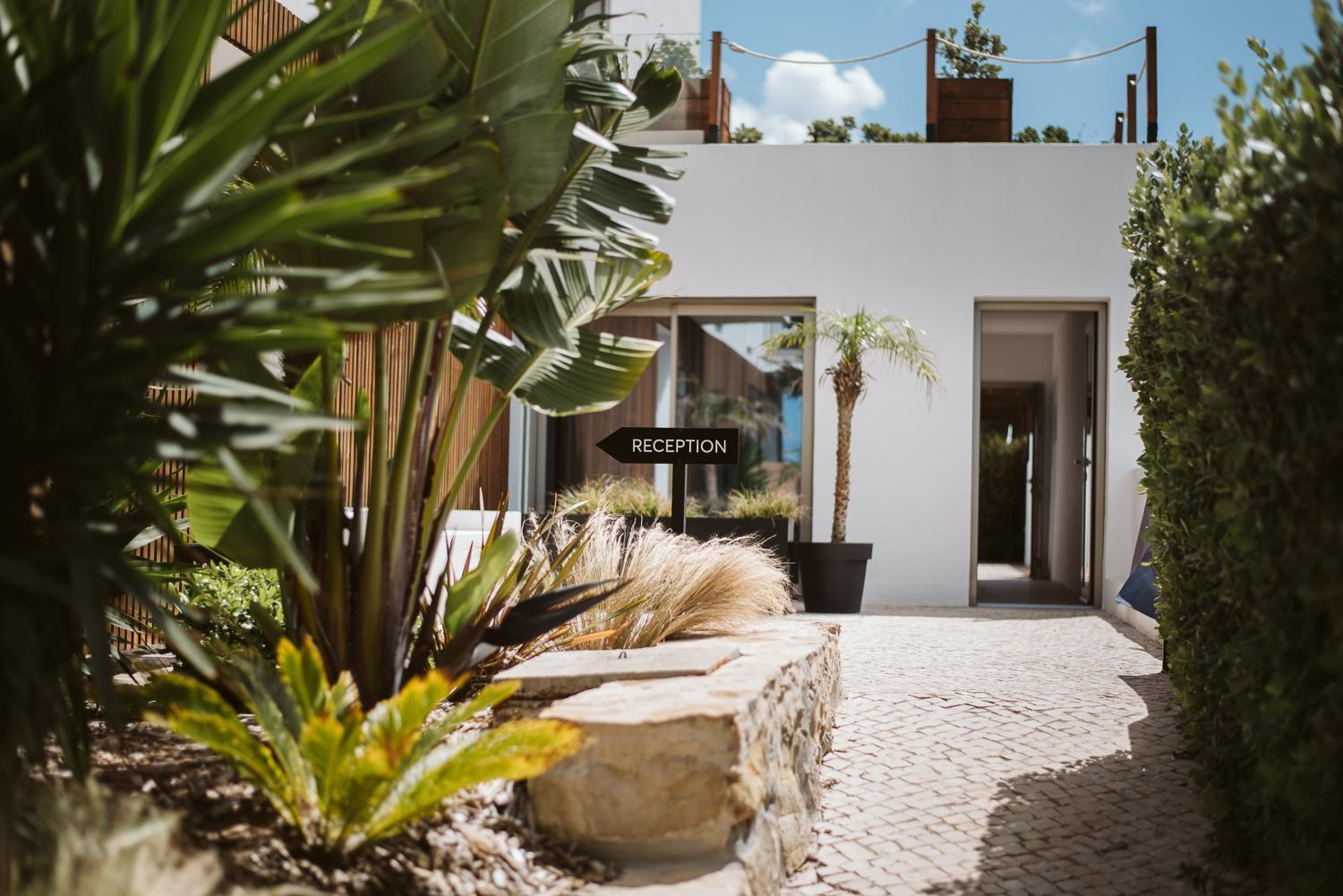 פניש The Salty Pelican Yoga & Surf Retreat מראה חיצוני תמונה